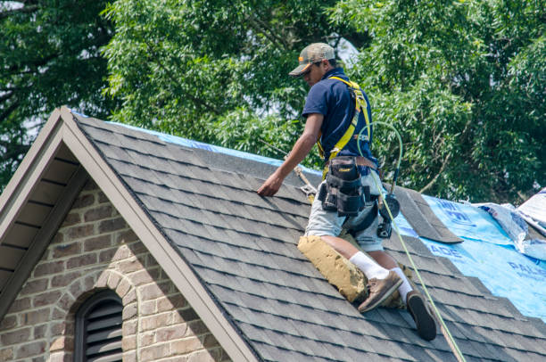 Professional Roofing Contractor in Jonesville, LA